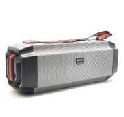 ПОРТАТИВНАЯ КОЛОНКА WSTER WS-1861