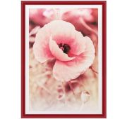 ф/рамка Pioneer(8546)poster red  21*30