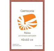 ф/рамка сосна СВЕТОСИЛА 40 х60 кр дерево(10шт)