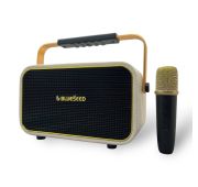 ПОРТАТИВНАЯ КОЛОНКА BLUESEED BS-609